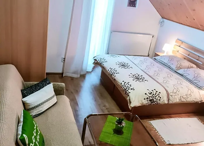 Проживание в семье Privat Maria *